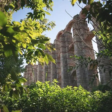 Loft Abuela Pepa Vistas Al Acueducto De Milagros Apartment